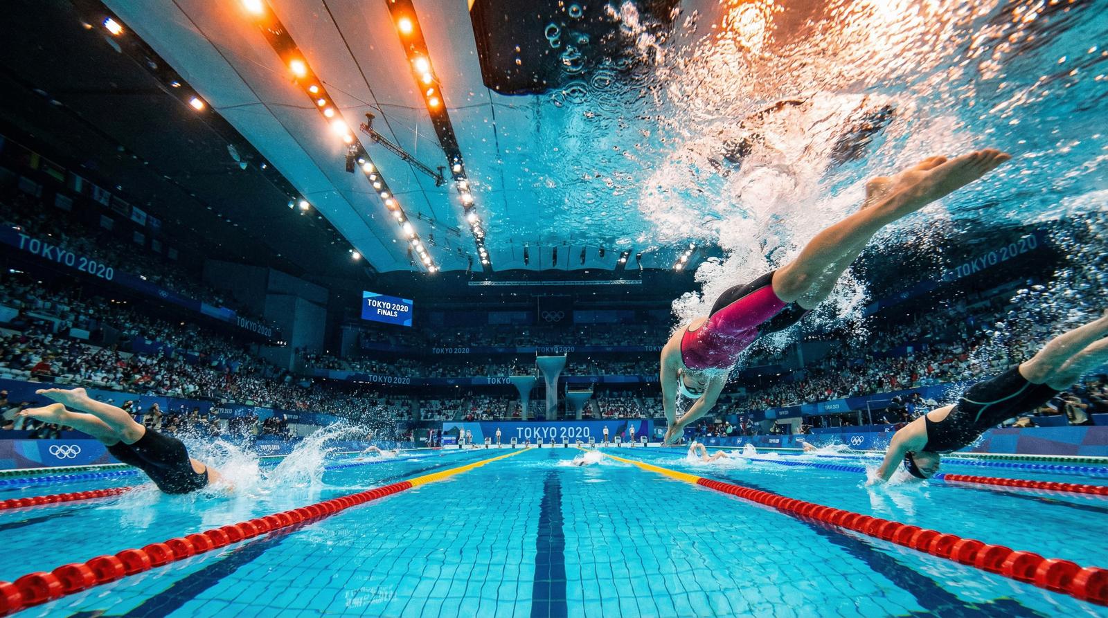 福利导航游泳赛事视频